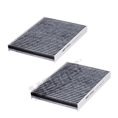 Salono filtras HENGST FILTER E2919LC-2