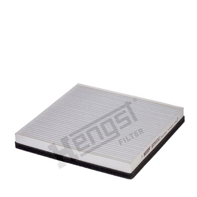 Salono filtras HENGST FILTER E2933LI
