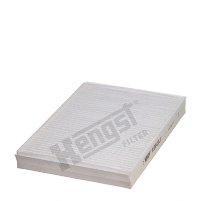 Salono filtras HENGST FILTER E2949LI