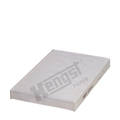 Salono filtras HENGST FILTER E2953LI