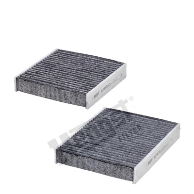 Salono filtras HENGST FILTER E2967LC-2