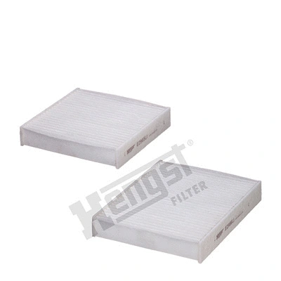 Salono filtras HENGST FILTER E2967LI-2