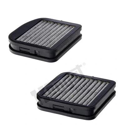 Salono filtras HENGST FILTER E2973LC-2