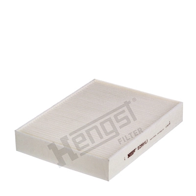 Salono filtras HENGST FILTER E2991LI