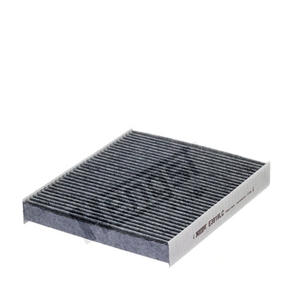 Salono filtras HENGST FILTER E3919LC