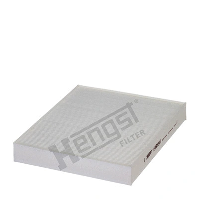 Salono filtras HENGST FILTER E3919LI