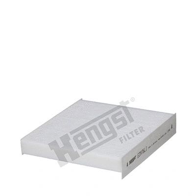 Salono filtras HENGST FILTER E3976LI