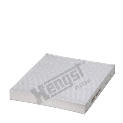 Salono filtras HENGST FILTER E4955LI