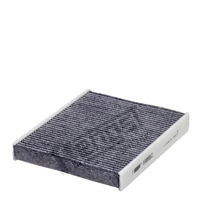Salono filtras HENGST FILTER E4959LC