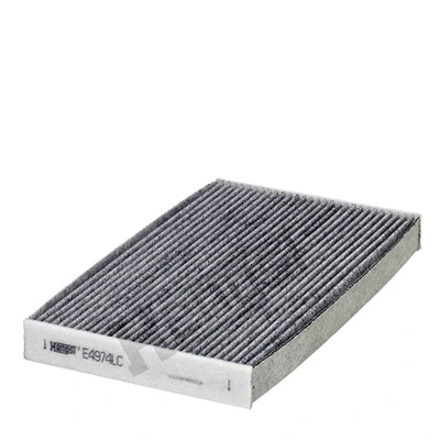 Salono filtras HENGST FILTER E4974LC