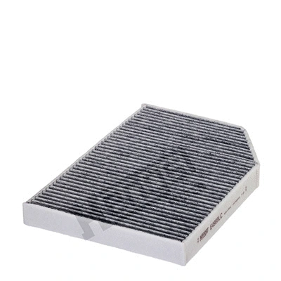 Salono filtras HENGST FILTER E4980LC