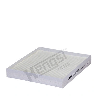 Salono filtras HENGST FILTER E5969LI