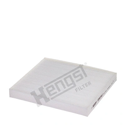 Salono filtras HENGST FILTER E5975LI