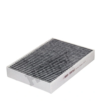 Salono filtras HENGST FILTER E5979LC