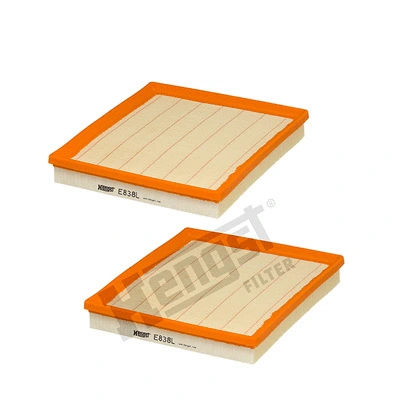 Oro filtras HENGST FILTER E838L-2