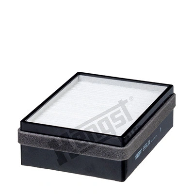 Salono filtras HENGST FILTER E956LI01