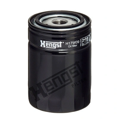 Alyvos filtras HENGST FILTER H17W09