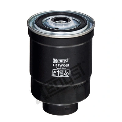 Kuro filtras HENGST FILTER H17WK09