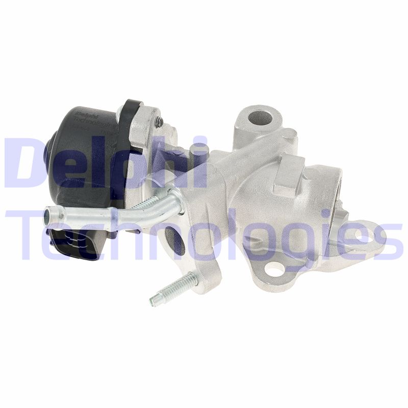 ERG vožtuvas DELPHI EG10533-12B1
