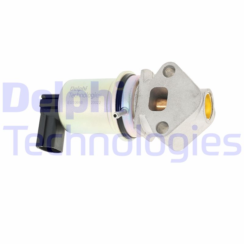 ERG vožtuvas DELPHI EG10646-12B1
