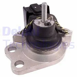 Variklio montavimas DELPHI TEM008