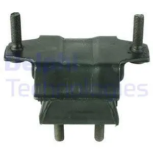 Variklio montavimas DELPHI TEM022