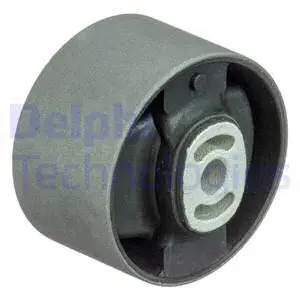 Variklio montavimas DELPHI TEM064