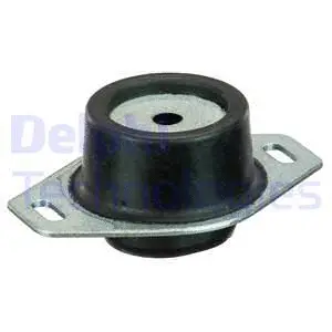 Variklio montavimas DELPHI TEM065