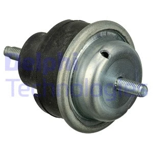 Variklio montavimas DELPHI TEM072