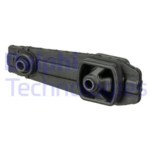 Variklio montavimas DELPHI TEM073