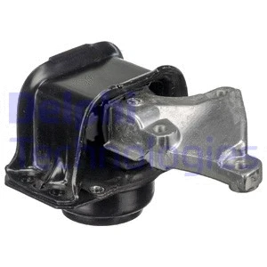 Variklio montavimas DELPHI TEM074