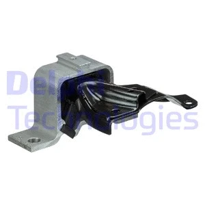 Variklio montavimas DELPHI TEM083
