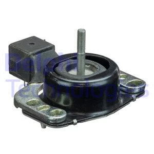 Variklio montavimas DELPHI TEM087