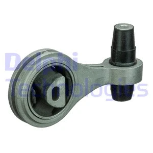 Variklio montavimas DELPHI TEM088