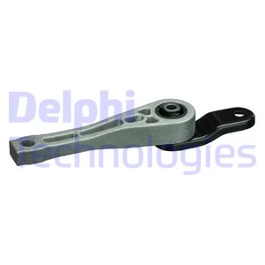 Variklio montavimas DELPHI TEM101