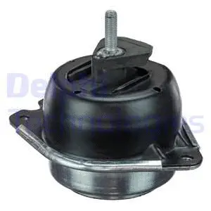 Variklio montavimas DELPHI TEM108