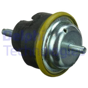 Variklio montavimas DELPHI TEM112