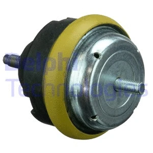 Variklio montavimas DELPHI TEM113