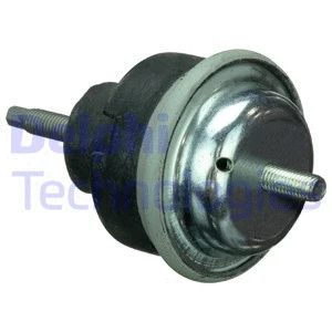 Variklio montavimas DELPHI TEM115