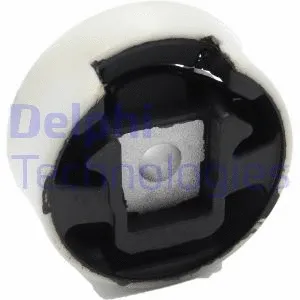 Variklio montavimas DELPHI TEM122