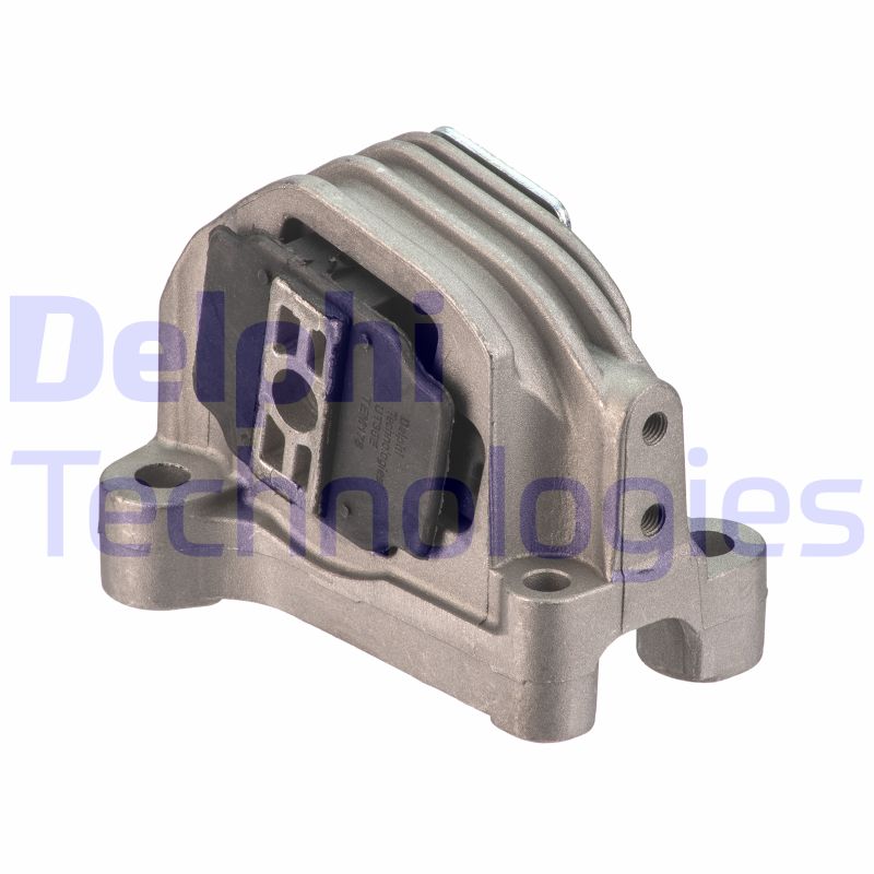 Variklio montavimas DELPHI TEM178
