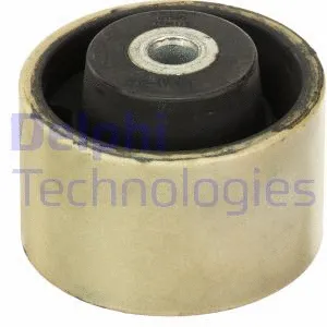 Variklio montavimas DELPHI TEM179