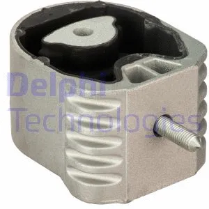 Variklio montavimas DELPHI TEM180