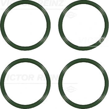 Įsiurbimo kolektoriaus tarpinių rinkinys VICTOR REINZ 11-38519-01