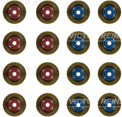 Vožtuvo šerdies tarpinių komplektas VICTOR REINZ 12-10012-01