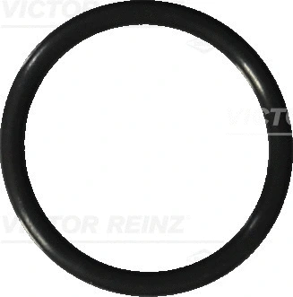 Alyvos išleidimo kaiščio tarpinė VICTOR REINZ 40-76041-20