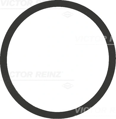 Įsiurbimo kolektoriaus tarpinė VICTOR REINZ 40-77542-00