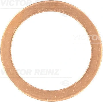 Alyvos išleidimo kaiščio tarpinė VICTOR REINZ 41-70168-00