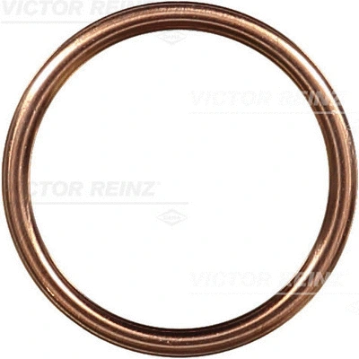 Alyvos išleidimo kaiščio tarpinė VICTOR REINZ 41-72065-30