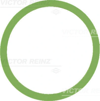 Įsiurbimo kolektoriaus tarpinė VICTOR REINZ 41-77647-00
